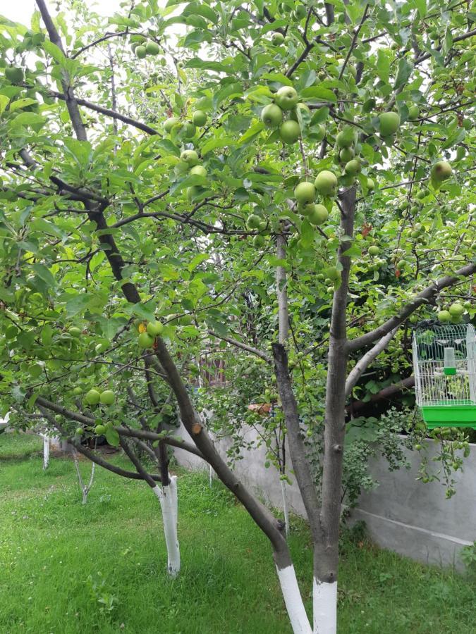 Andranik B&B Goris Exterior foto