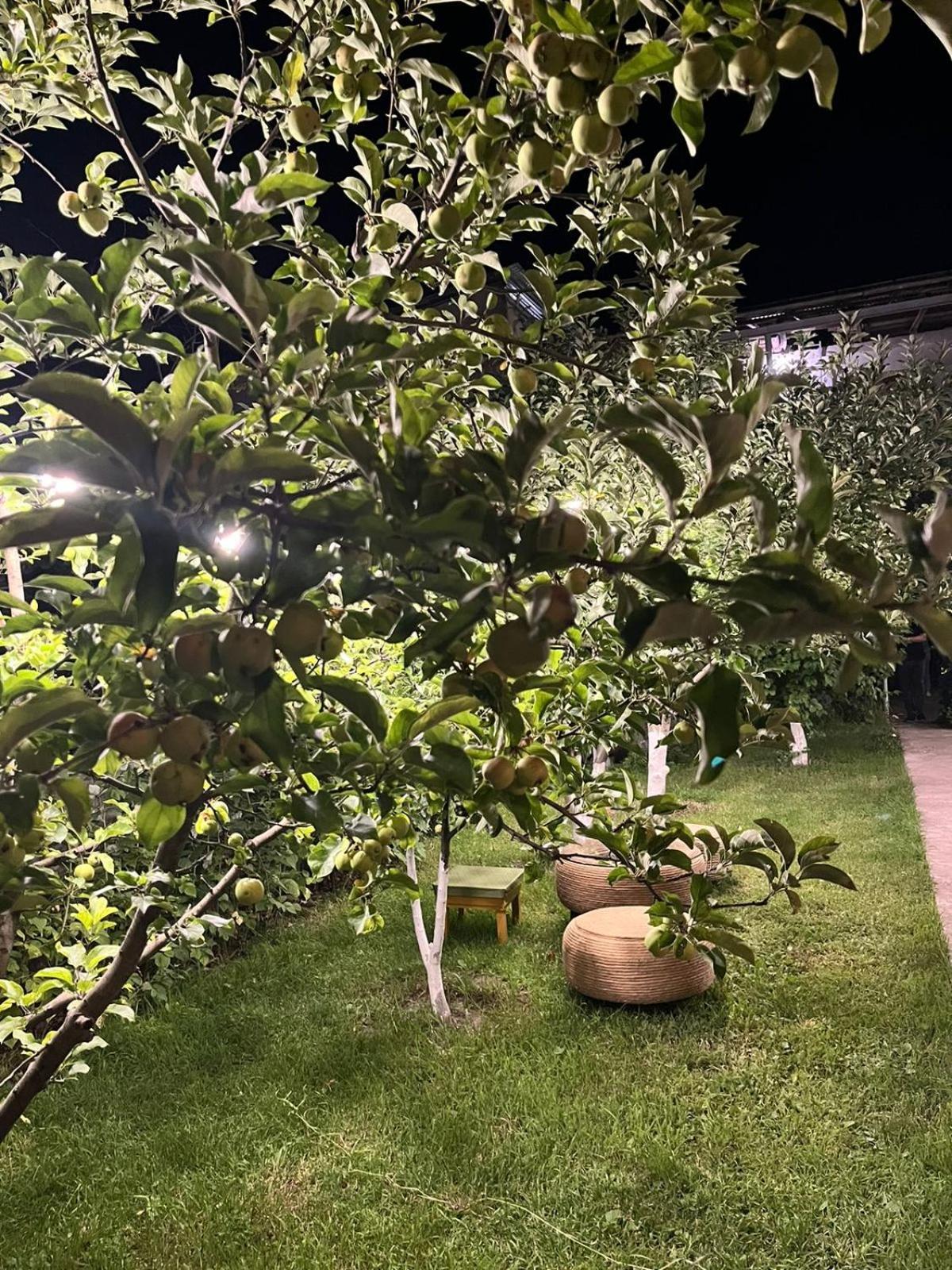 Andranik B&B Goris Exterior foto